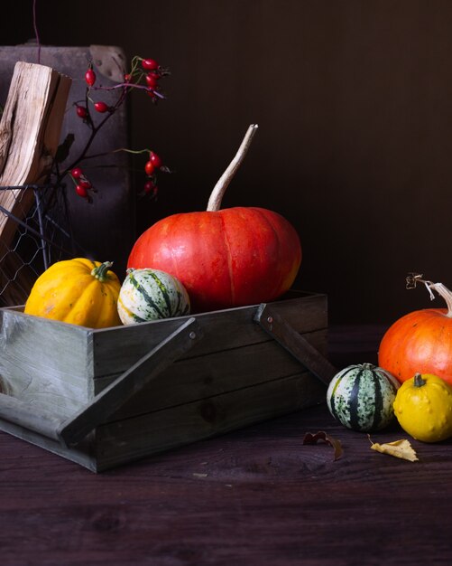 Photo nature morte d'automne avec des citrouilles et des bougies