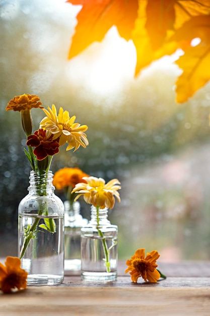 Photo nature morte d'automne avec des fleurs et des feuilles d'orange flwoers orange dans des vases en verre concept de scène d'automne abstrait