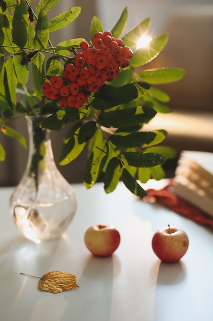 Nature morte d'automne avec rowan et pommes sur une table dans un intérieur confortable