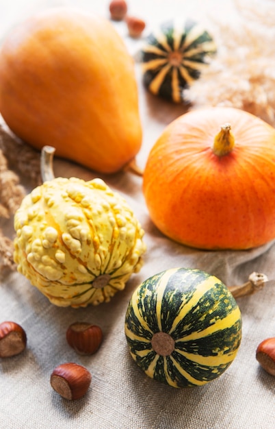 Une nature morte d'automne rustique avec des citrouilles sur fond textile