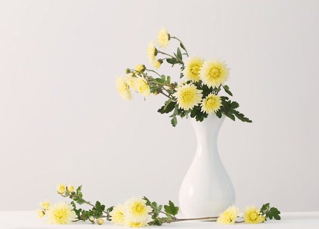 Nature morte aux chrysanthèmes sur fond blanc