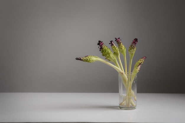 Photo nature morte aux fleurs de krachiao dans un vase