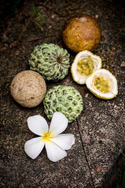 Nature morte aux fruits exotiques utiles