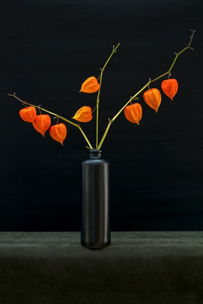 Nature morte avec une branche de Physalis dans une bouteille noire