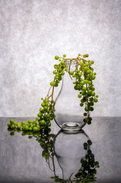 Une nature morte avec une branche de raisin vert et un vase en verre