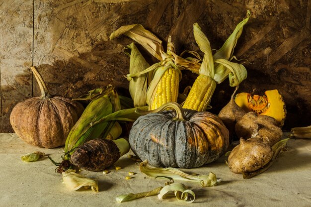 Photo nature morte à la citrouille, au maïs, au taro, à l'igname.