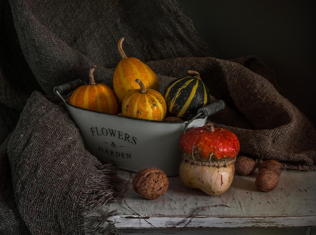 Nature morte à la citrouille et aux noix. Rétro vintage