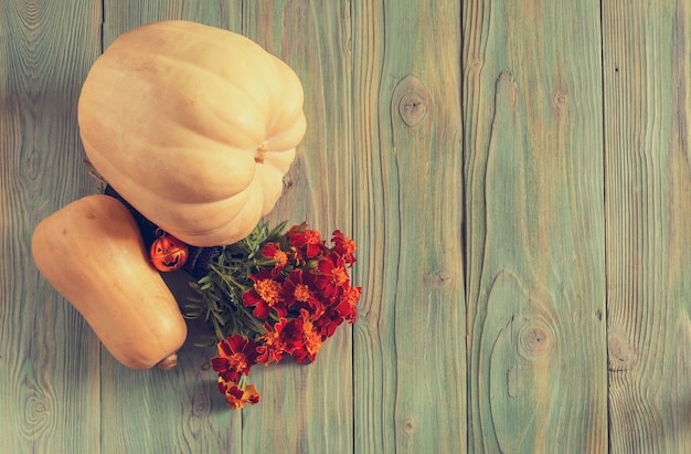 Nature morte à la citrouille sur fond de bois