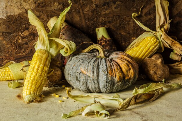 Nature morte à la citrouille