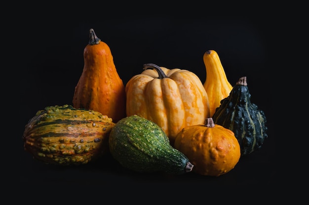 Nature morte citrouilles fond sombre