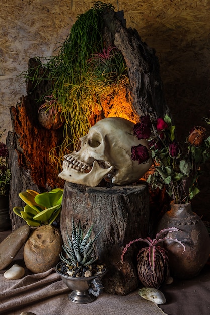 Nature morte avec un crâne humain avec des plantes du désert, des cactus, des roses et des fleurs séchées.