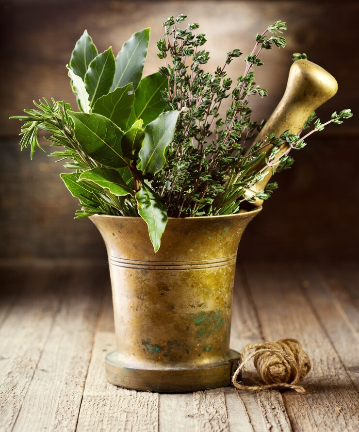 Photo nature morte avec diverses herbes en mortier sur table en bois