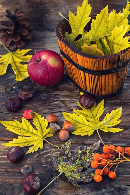 Nature morte feuilles d'automne