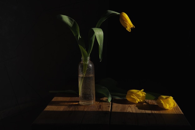 Nature morte de fleurs de tulipes jaunes en fleurs fraîches placées dans un vase en verre sur une table en bois