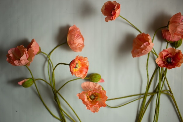 nature morte florale sur fond clair