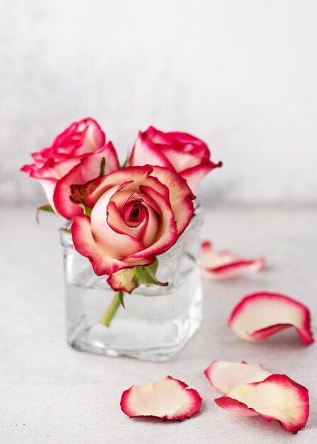 Photo nature morte florale avec des roses roses de couleur pastel dans un vase en verre pour la décoration de la maison minimalisme esthétique