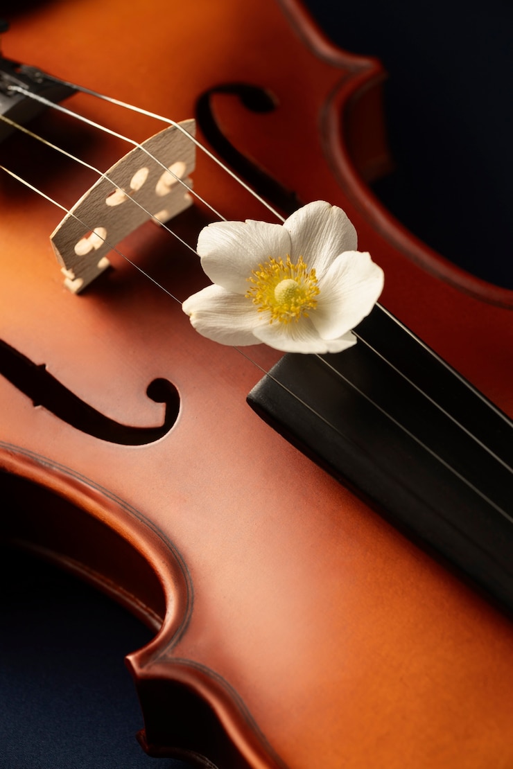 Nature morte d'un instrument à cordes