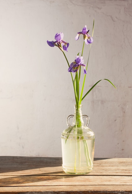 Nature morte avec iris