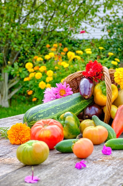 Nature morte de légumes