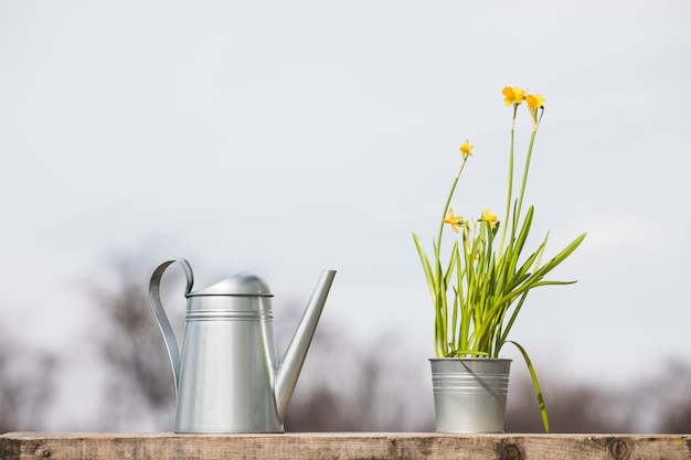 Photo nature morte de plantes et de jardins