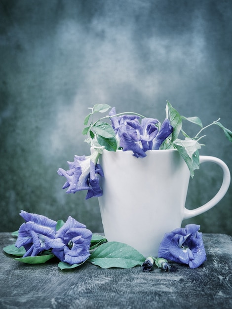 Nature morte Pois bleu ou pois de papillon dans la tasse à café sur bois.