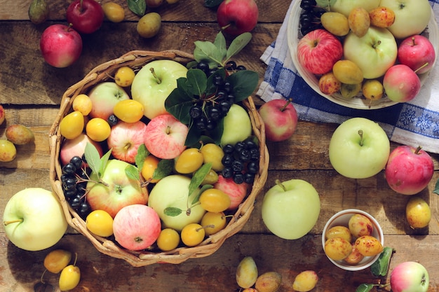 Nature morte avec des pommes de différentes variétés, aronia et prunes jaunes sur la table, vue de dessus.