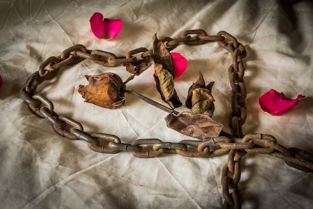 Photo nature morte roses métaphoriques.