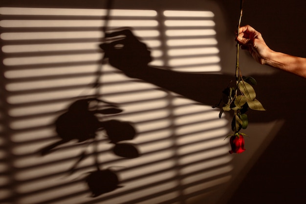 Photo la nature morte de sant jordi pour le jour des livres et des roses