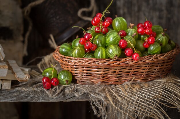 Nature morte avec un seau de différentes baies, gros plan