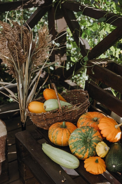 Photo nature morte avec une variété de citrouilles et de fruits et légumes de saison saison d'automne