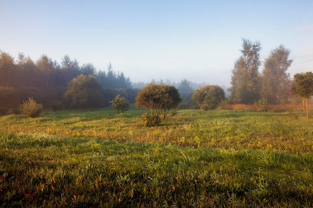 Nature pendant la saison d'automne un matin brumeux