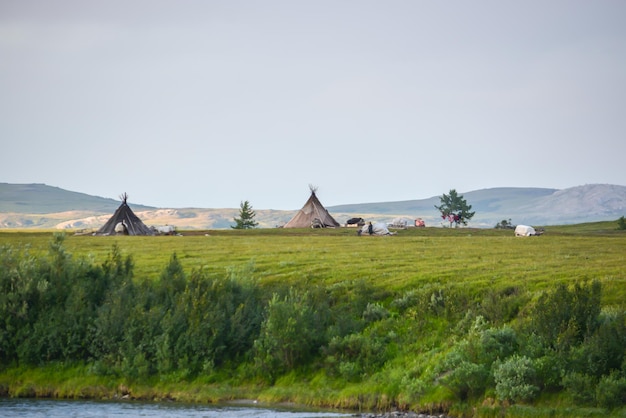 Nature de la péninsule de Yamal