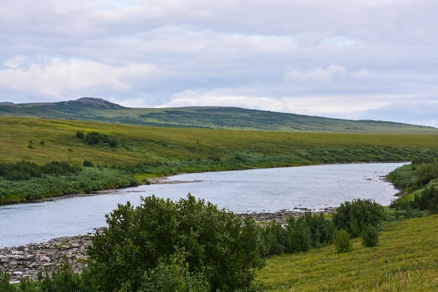 Nature de la péninsule de Yamal