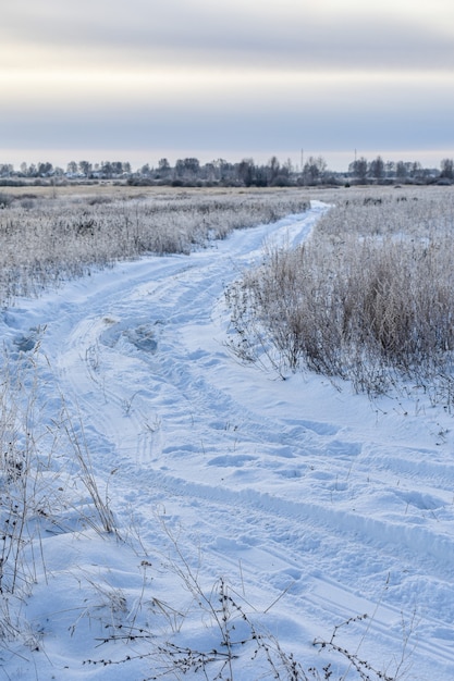 Nature de la Russie dans un hiver glacial