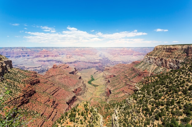 Nature sauvage du parc national du Grand Canyon