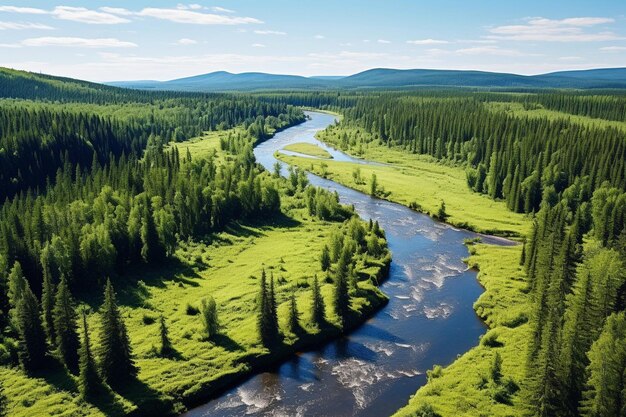 La nature sauvage d'un parc national