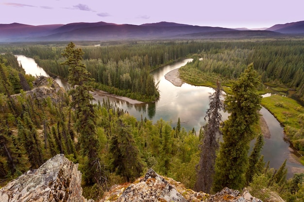 La nature sauvage de la taïga du Yukon et la rivière McQuesten