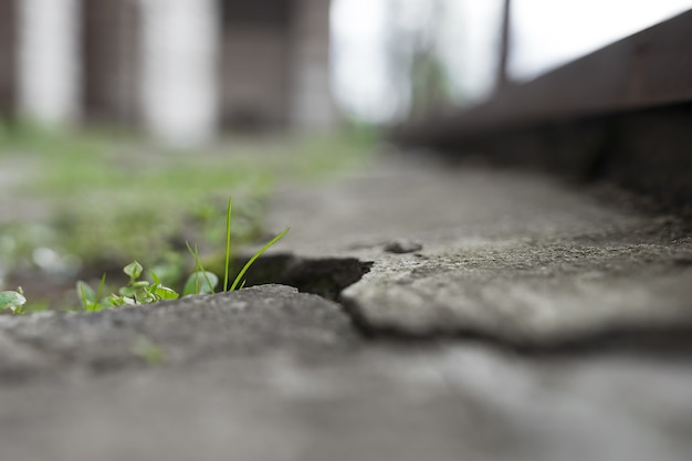 La nature se bat fond de ville hd