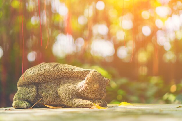 la nature se sent avec la lumière du soleil