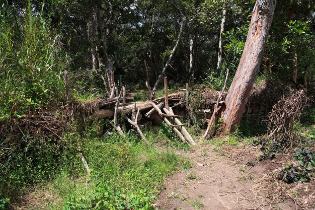 Nature de la vallée de Wamena, Papouasie, Indonésie