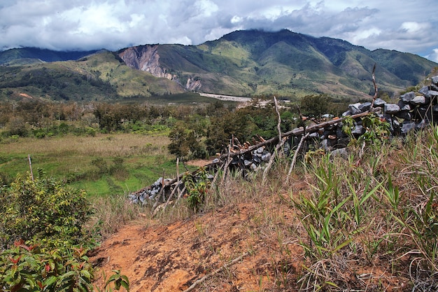 Nature de la vallée de Wamena, Papouasie, Indonésie