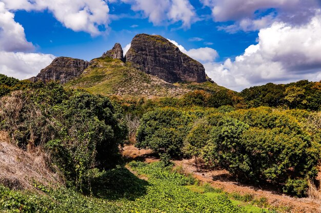 Photo la nature verte tropicale et les rochers frappants de l'île maurice enchante l'intérieur de l'île.