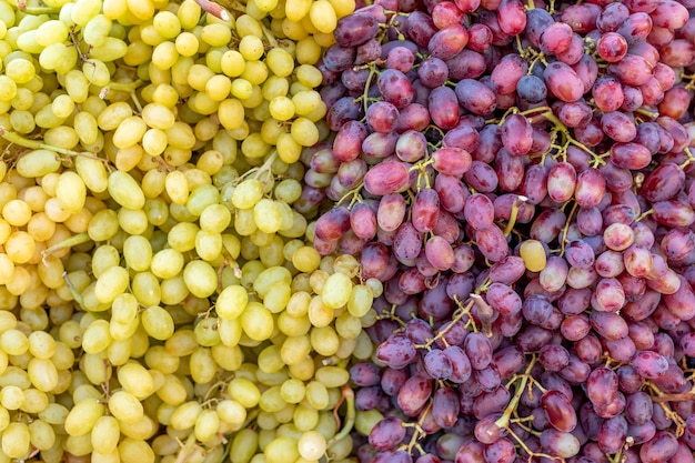 Naturel fait de différents raisins.