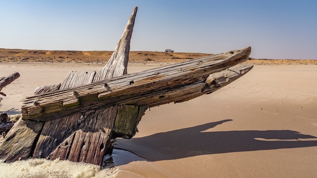 Un naufrage dans le parc national de Skeleton Coast en Namibie en Afrique.