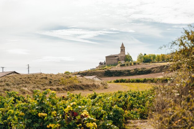 Photo navarre espagne octobre 2022 pèlerin marchant dans le chemin français camino frances à santiago de compostela