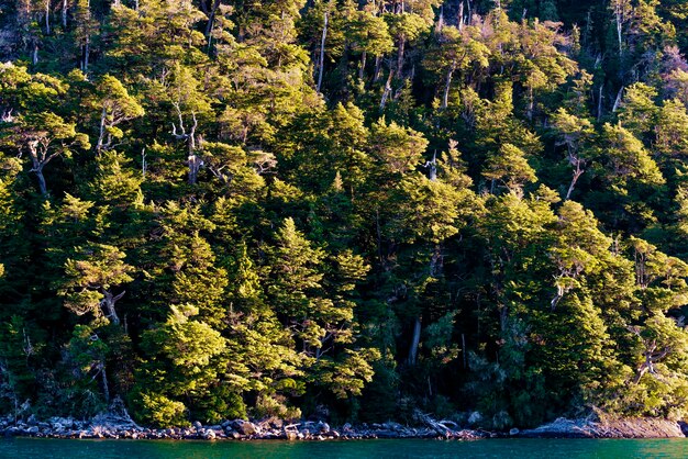 Naviguer sur le nahuel huapi au coucher du soleil en Patagonie argentine