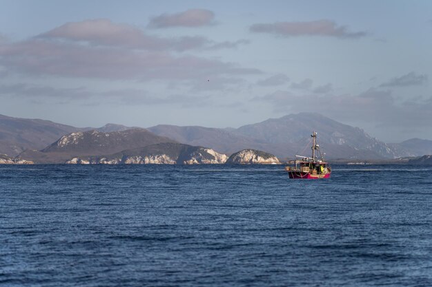 naviguer sur un yacht en Australie dans la forêt sauvage reculée au printemps