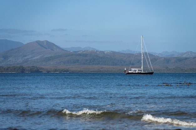 Photo naviguer sur un yacht en australie dans la forêt sauvage reculée au printemps