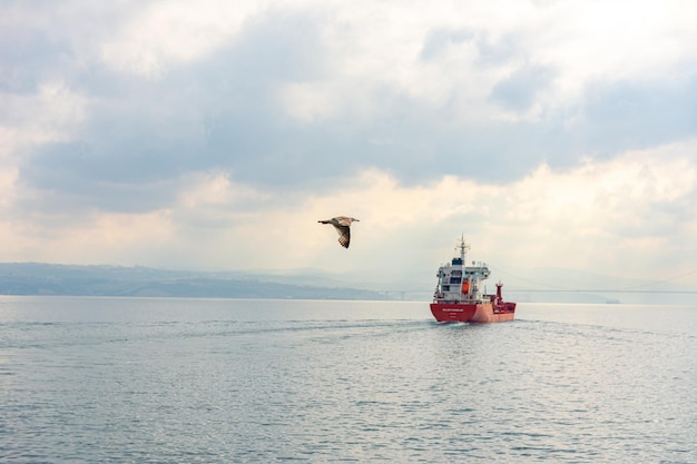 Le navire navigue sur la mer et la mouette le survole