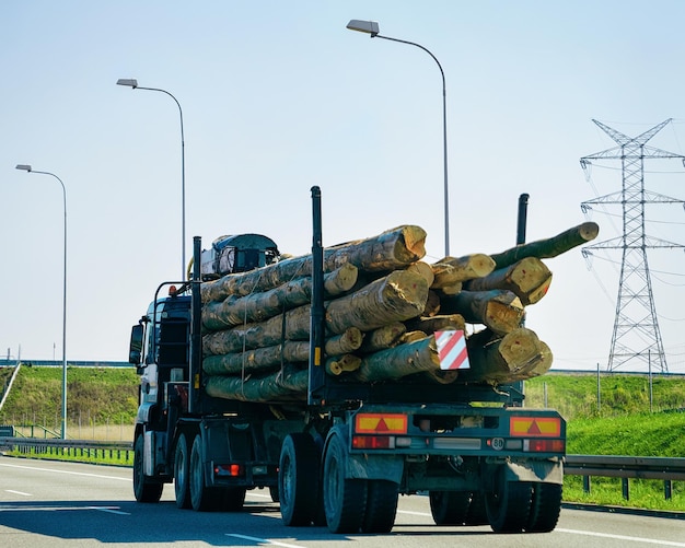 Navire transporteur de bois sur la route de l'autoroute en Pologne. Transport par camion livrant du fret.